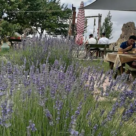 Kapadokya Tatil Evi Urgup