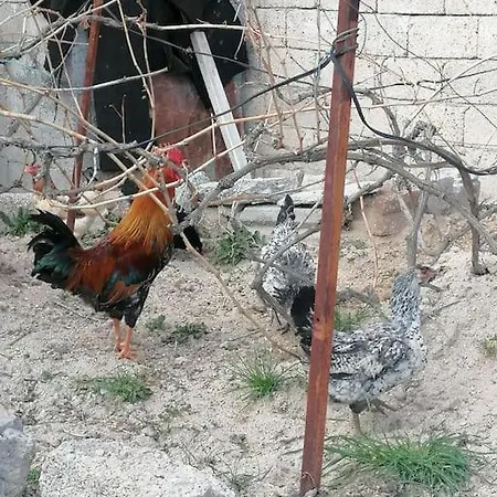 Kapadokya Tatil Evi *
